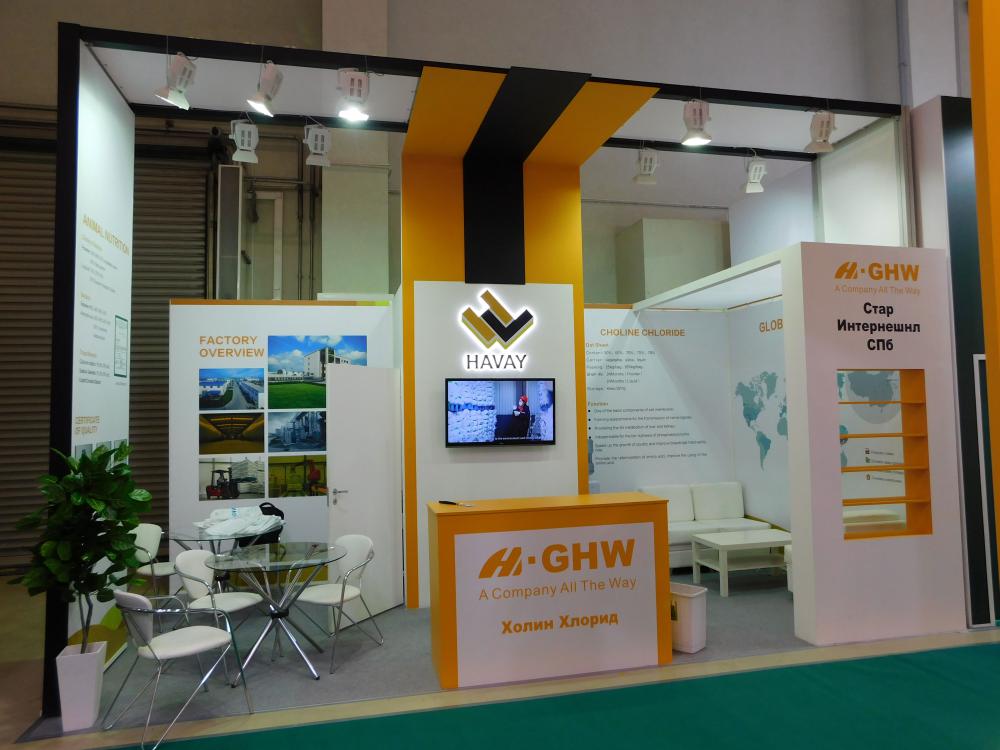 The company stand: HAVAY